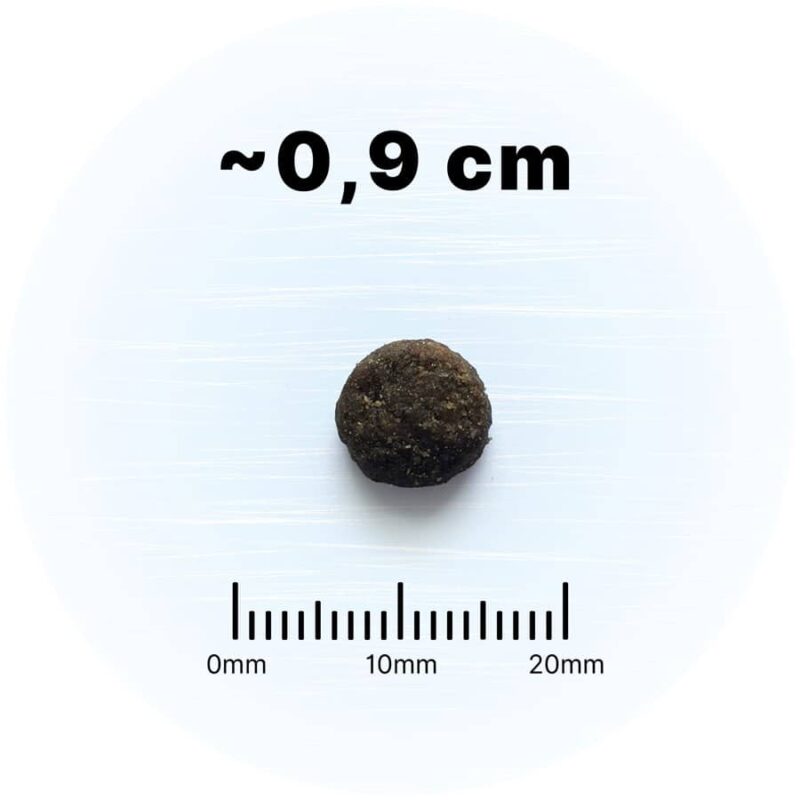 WOLF'S MOUNTAIN Crystal Wood – Image 2